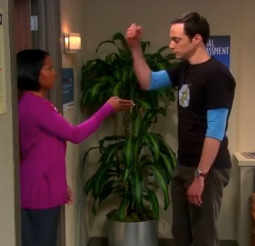 Big Bang Theory Season 6 Episode 20 The Tenure Turbulence Television Recaps